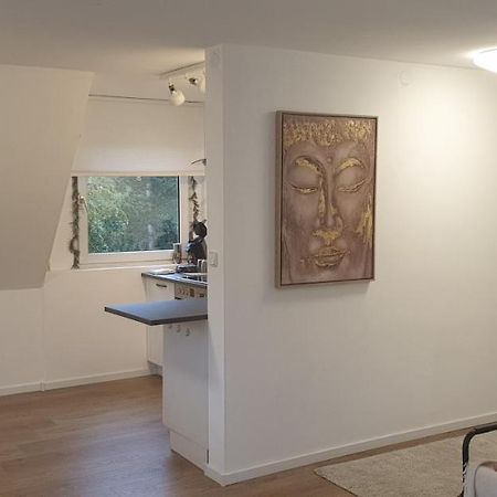 Frisch Renoviert Mit Dachterrasse - Geniesse Ruhe Und Grun Nahe Neustadt Aisch Neustadt an der Aisch Exterior photo