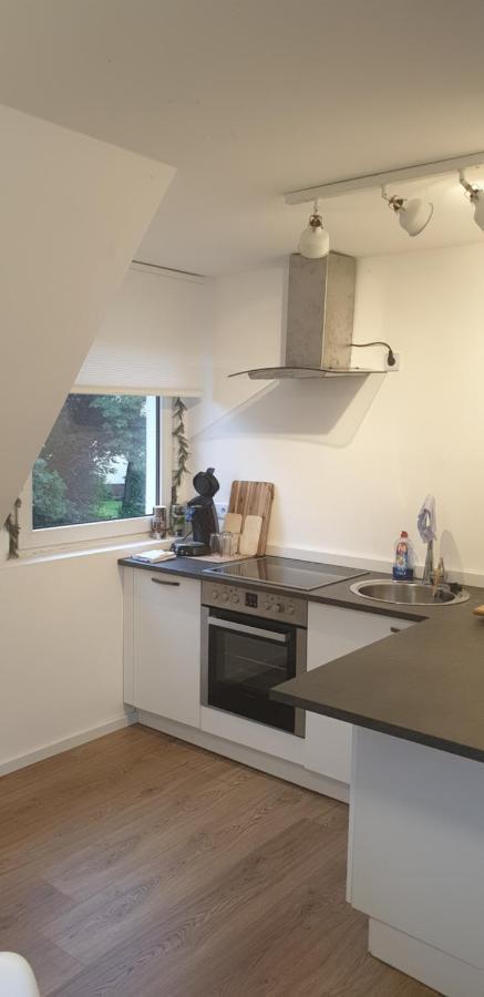 Frisch Renoviert Mit Dachterrasse - Geniesse Ruhe Und Grun Nahe Neustadt Aisch Neustadt an der Aisch Exterior photo